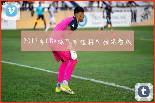 2015年CBA球队市值排行榜完整版