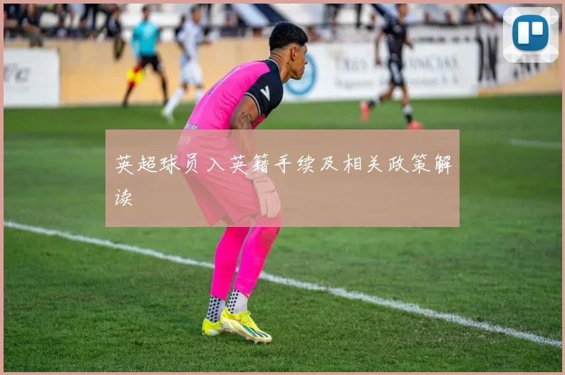 英超球员入英籍手续及相关政策解读