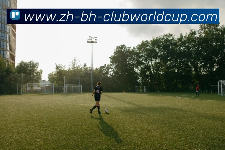 世界杯官网发展历程